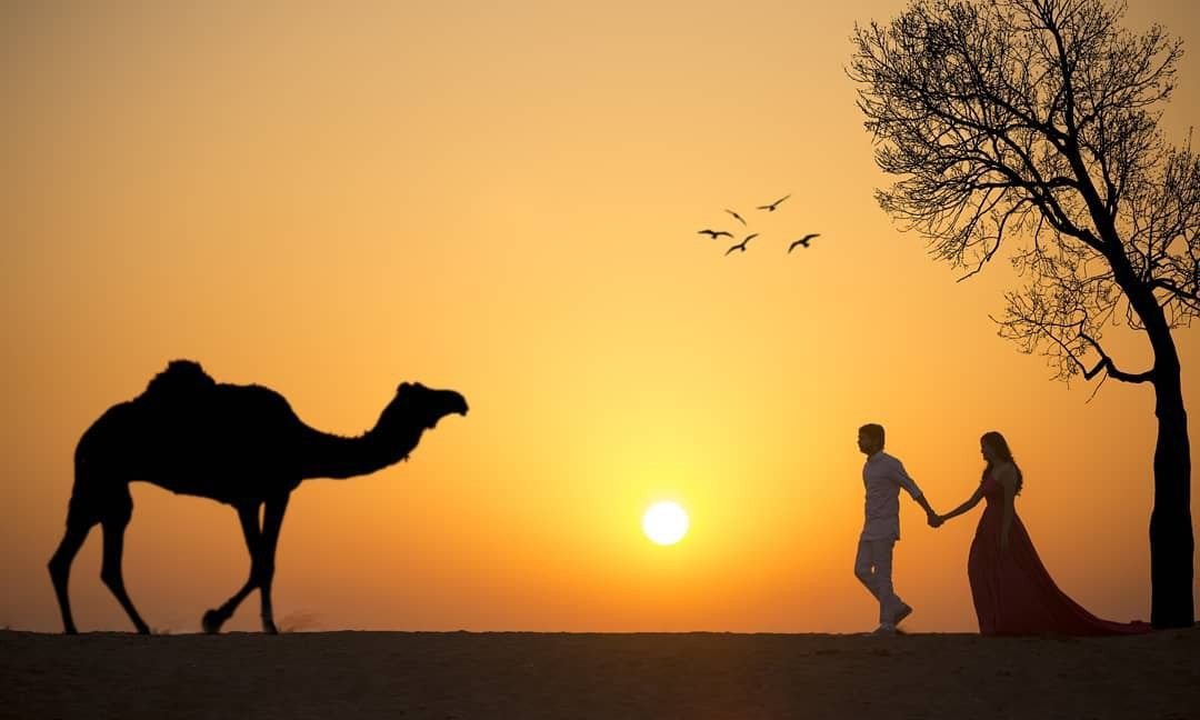 India Heritage Tours from USA